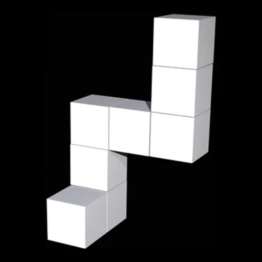 First shape